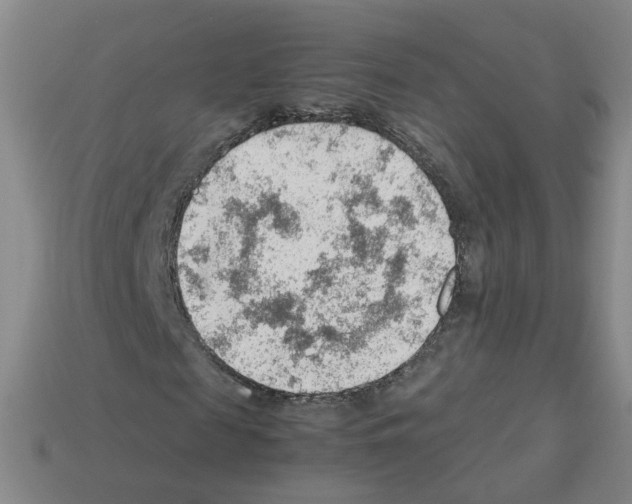 X0000112810817200910021139