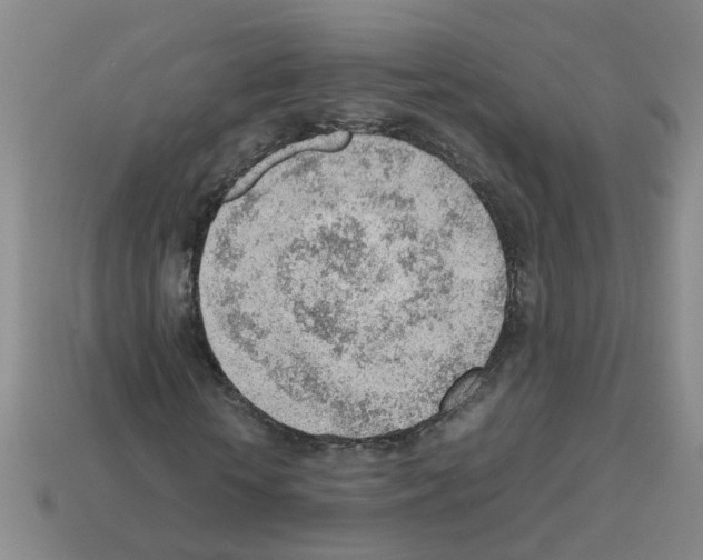 X0000112810818200910021139