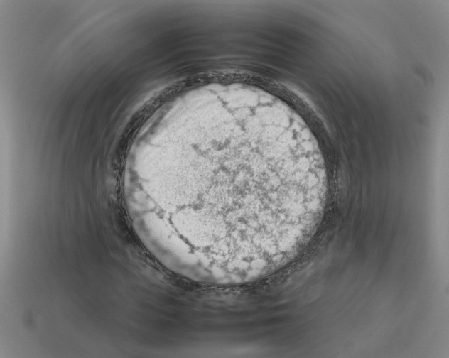 X0000112810823200910021139
