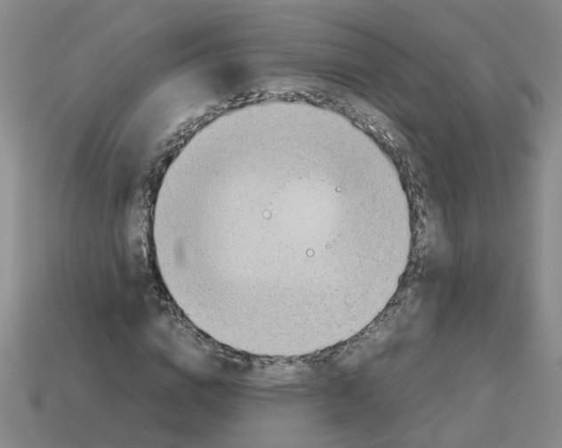 X0000112810824200910021139