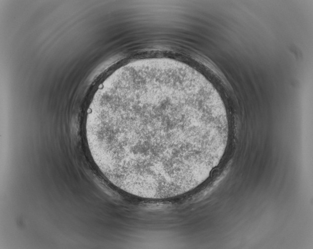 X0000112810826200910021139