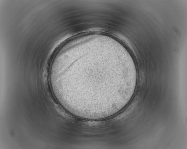 X0000112810827200910021139