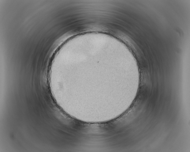 X0000112810828200910021139