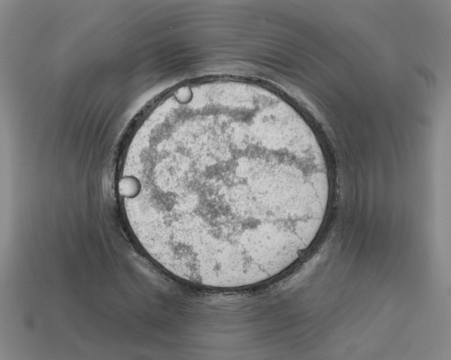 X0000112810830200910021139