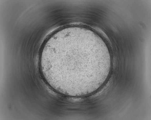 X0000112810831200910021139