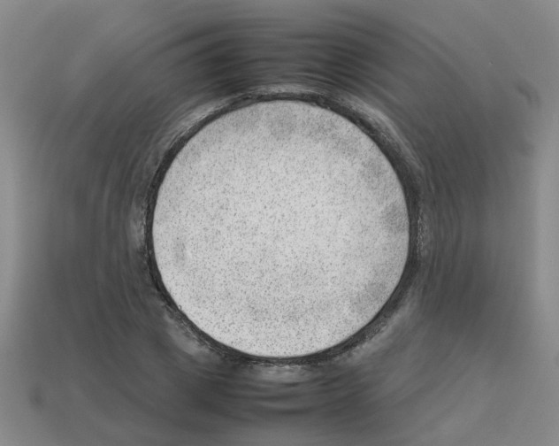 X0000112810833200910021139