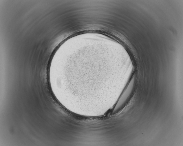 X0000112810834200910021139
