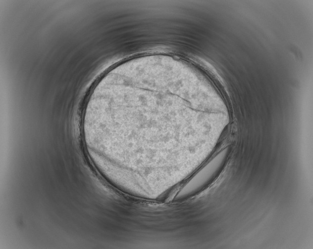 X0000112810835200910021139