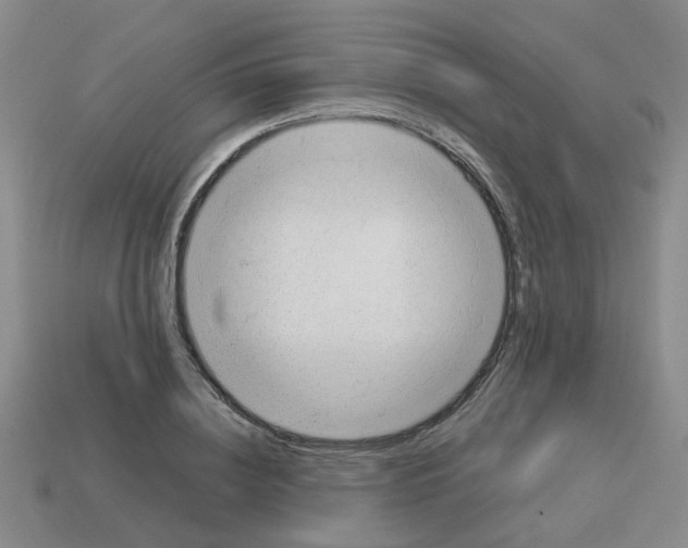 X0000112810836200910021139