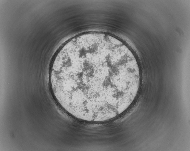 X0000112810837200910021139