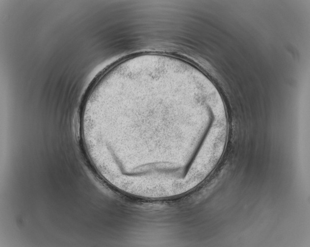 X0000112810838200910021139