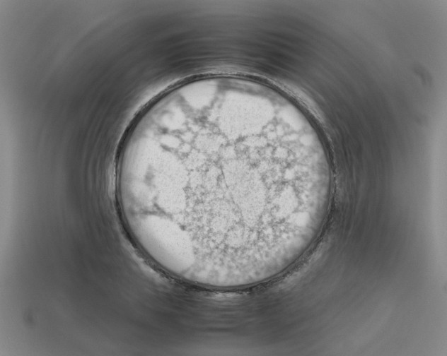 X0000112810839200910021139