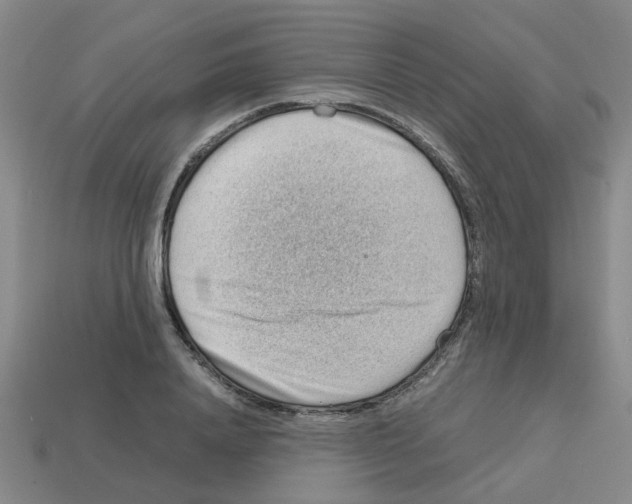 X0000112810840200910021139