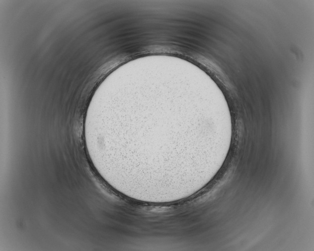 X0000112810841200910021139