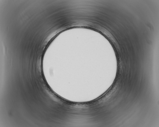 X0000112810842200910021139