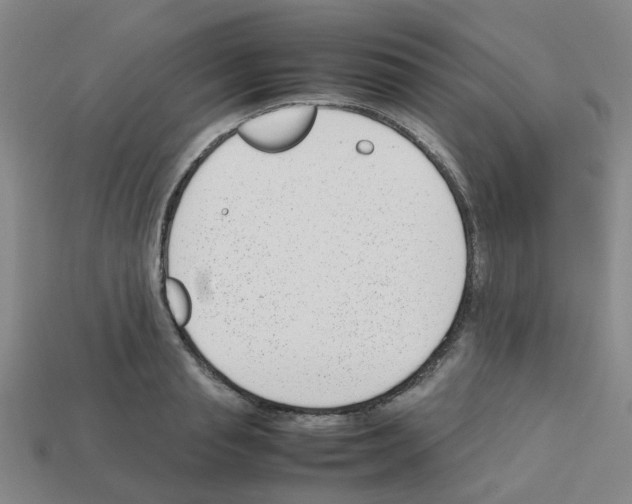 X0000112810845200910021139