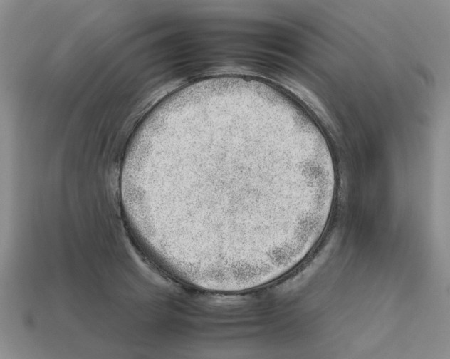 X0000112810849200910021139
