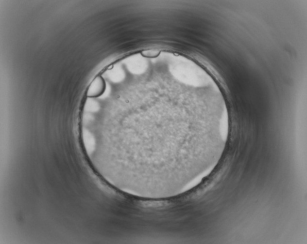 X0000112810853200910021139
