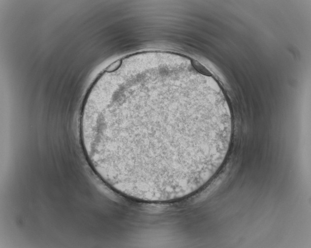 X0000112810854200910021139