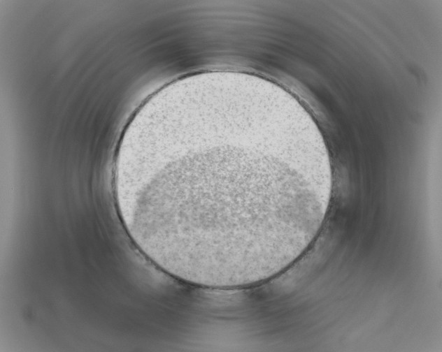 X0000112810856200910021139