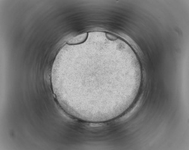 X0000112810857200910021139