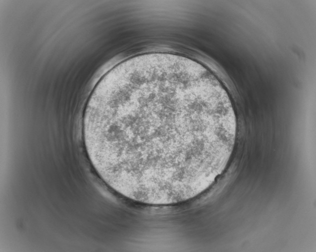 X0000112810858200910021139