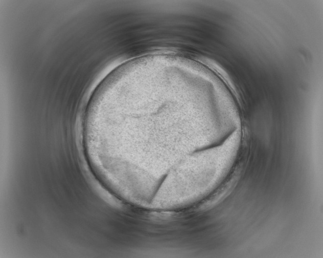 X0000112810859200910021139