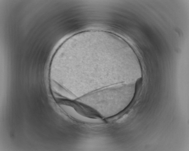 X0000112810864200910021139