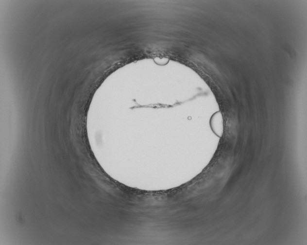 X0000112810865200910021139
