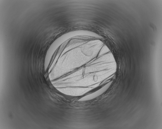 X0000112810868200910021139