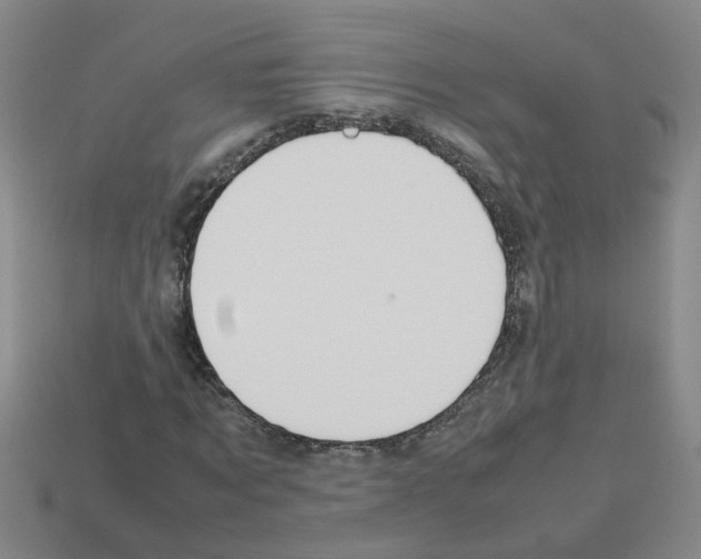X0000112810869200910021139
