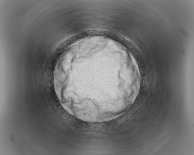 X0000112810870200910021139