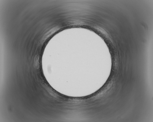 X0000112810873200910021138