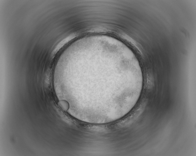 X0000112810874200910021138