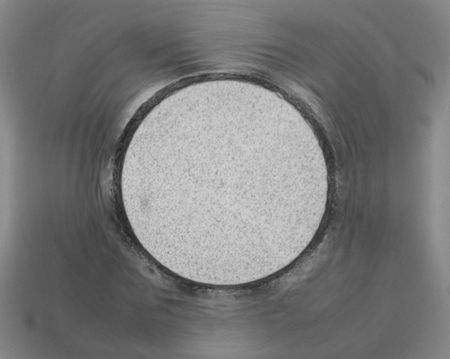 X0000112810875200910021138