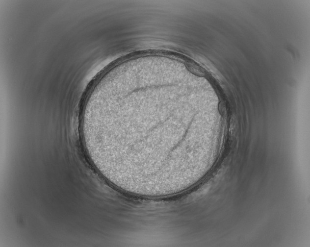 X0000112810877200910021138