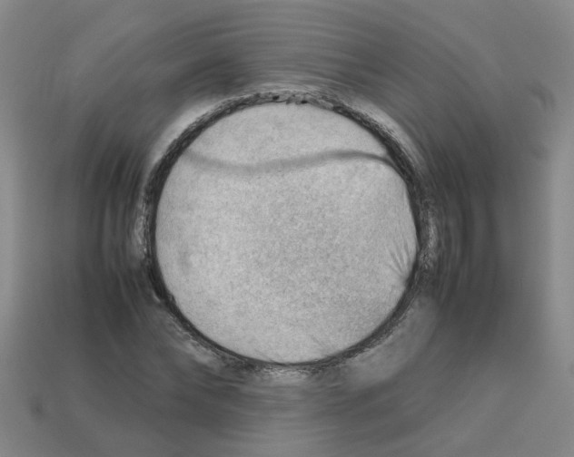 X0000112810878200910021138