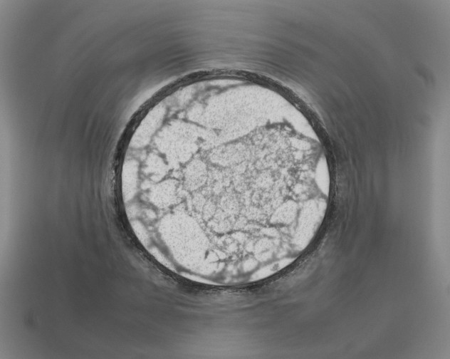 X0000112810879200910021138