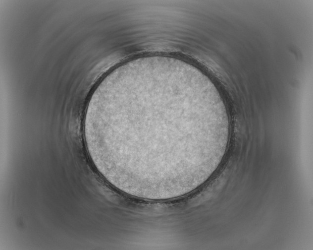 X0000112810881200910021138