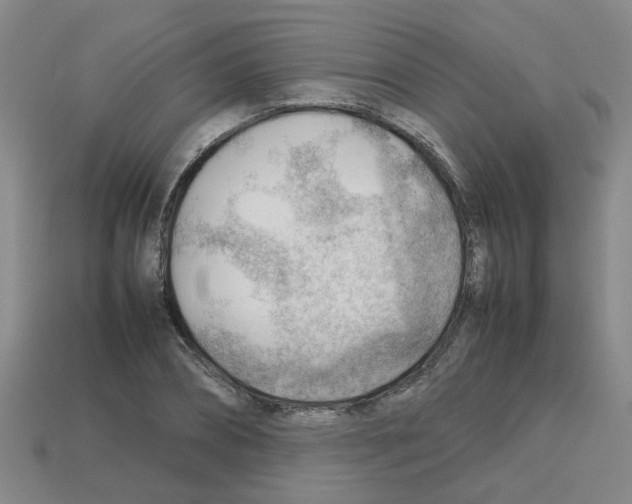 X0000112810882200910021138