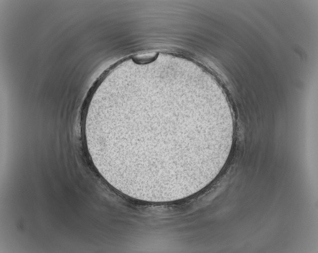 X0000112810883200910021138