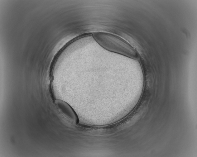 X0000112810885200910021138