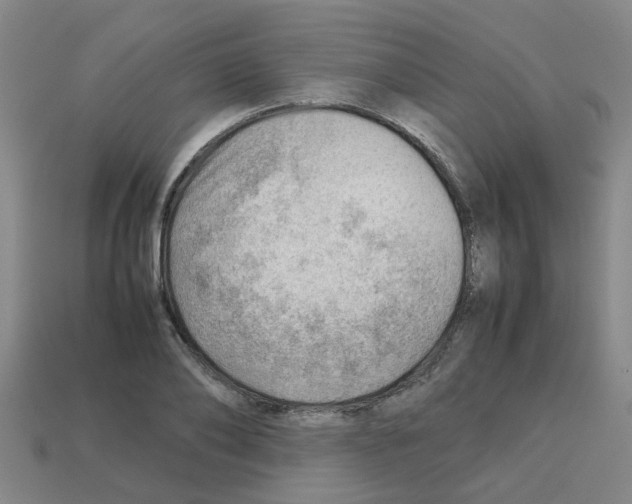 X0000112810886200910021138