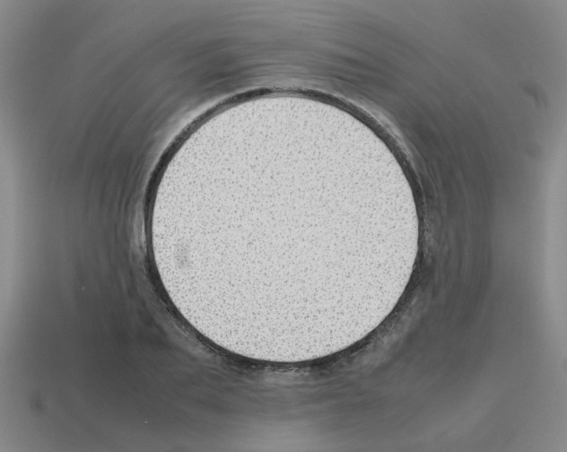 X0000112810887200910021138