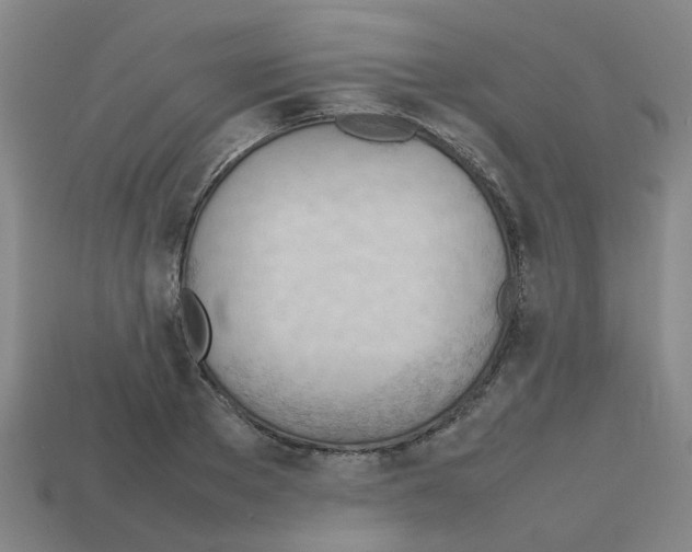 X0000112810889200910021138