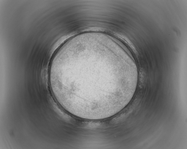 X0000112810890200910021138