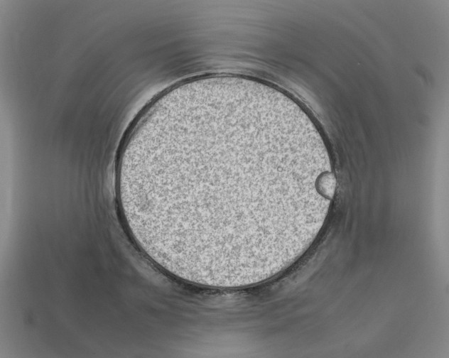 X0000112810891200910021138