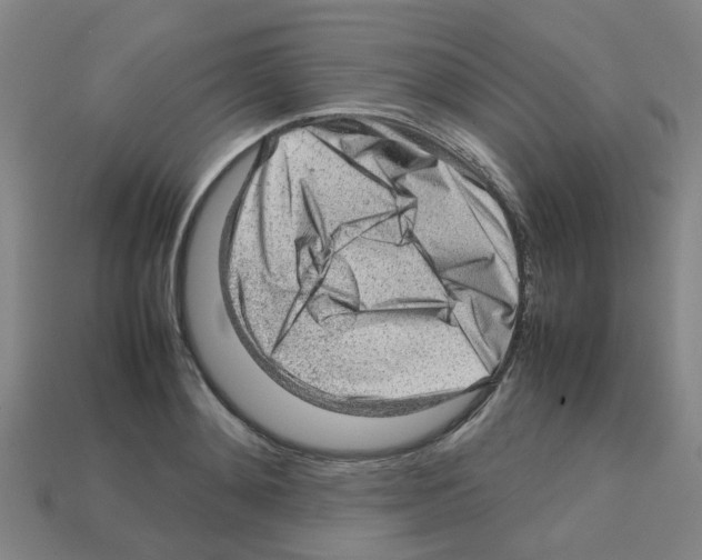 X0000112810892200910021138