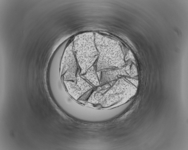 X0000112810893200910021138