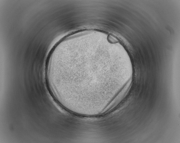 X0000112810894200910021138